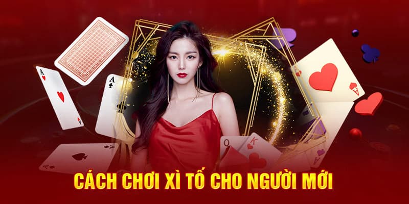 Luật chơi xì tố 5 cây đầy đủ nhất cho người mới