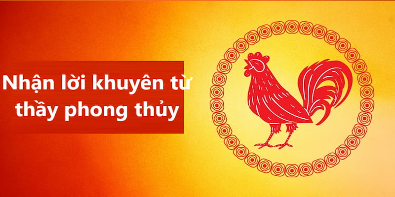 Học hỏi từ chuyên gia để xem ngày tốt đi đá gà