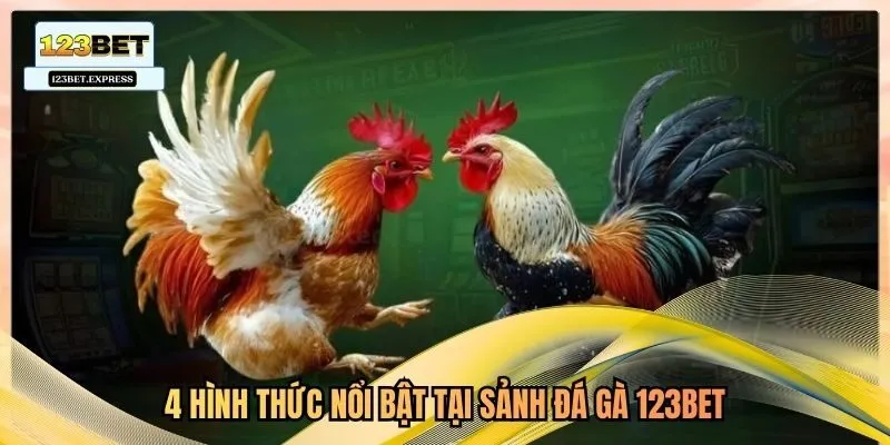 4 hình thức nổi bật tại sảnh đá gà 123bet
