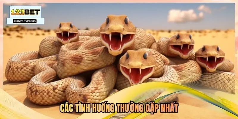 Các tình huống thường gặp nhất