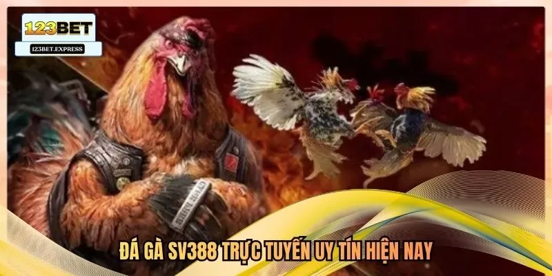 Đá gà SV388 trực tuyến uy tín hiện nay