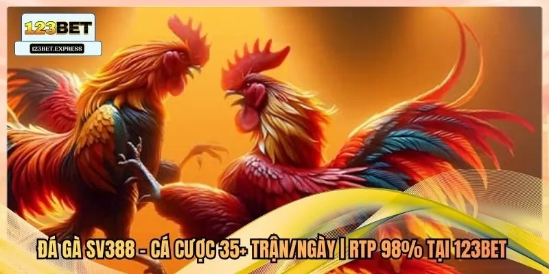 Đá Gà SV388 - Cá Cược 35+ Trận/Ngày | RTP 98% Tại 123Bet 