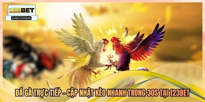 Đá Gà Trực Tiếp - Cập Nhật Kèo Nhanh Trong 30s Tại 123Bet