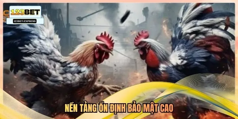 Nền tảng ổn định bảo mật cao