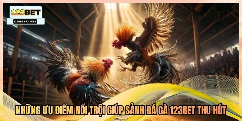 Những ưu điểm nổi trội giúp sảnh đá gà 123bet thu hút