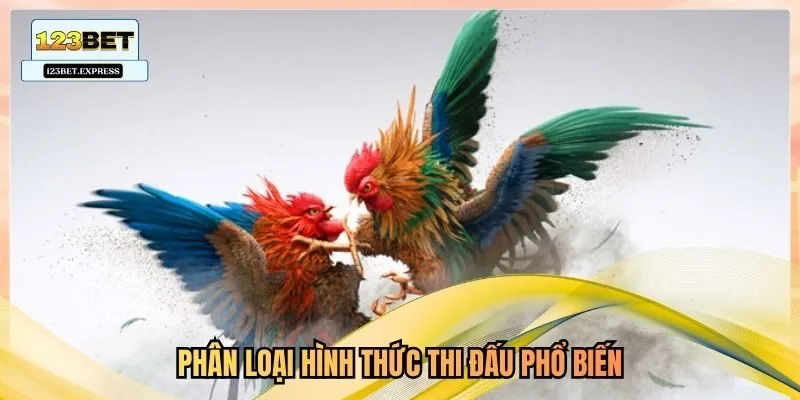 Phân loại hình thức thi đấu phổ biến