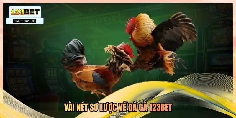Vài nét sơ lược về đá gà 123bet